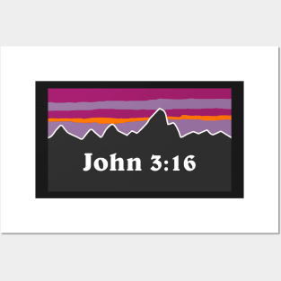 john 3:16 Posters and Art